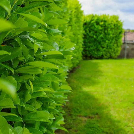 A La Beun'escale Bed & Breakfast *